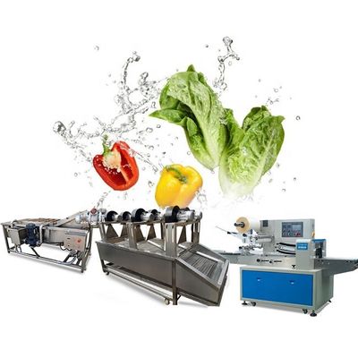 Машина промышленной моркови стиральной машины сладкого картофеля ролика щетки очищая