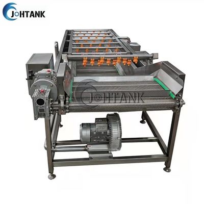 Промышленная автоматическая машина стирки овоща и плода очищая для салата томата